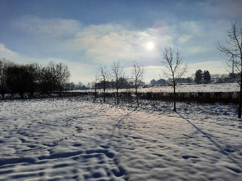 Le Grand Ravel Daire Waimes Dış mekan fotoğraf